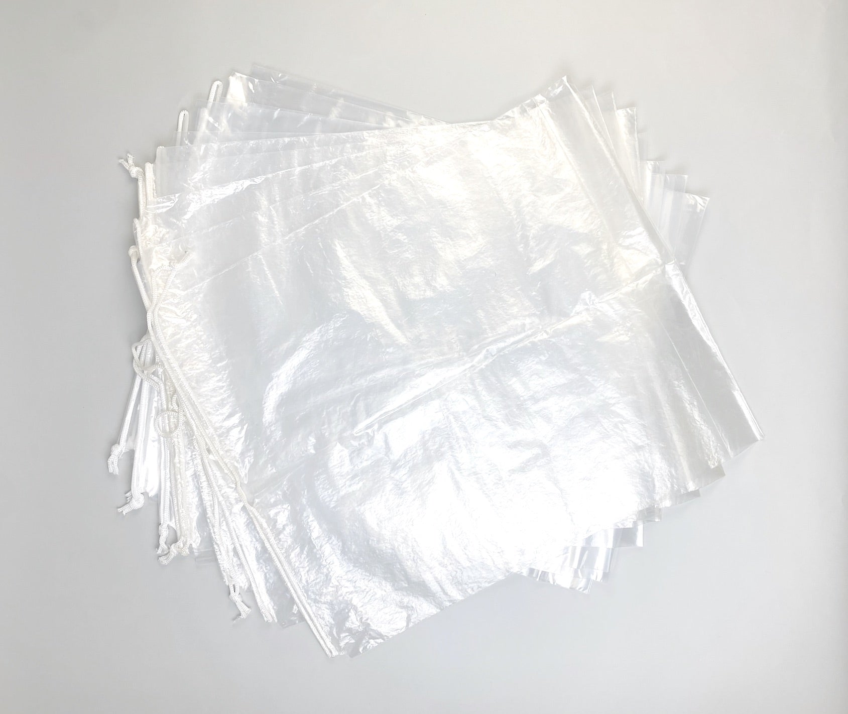 Clear Plastic Drawstring Handle Shoe Bags, 10pk