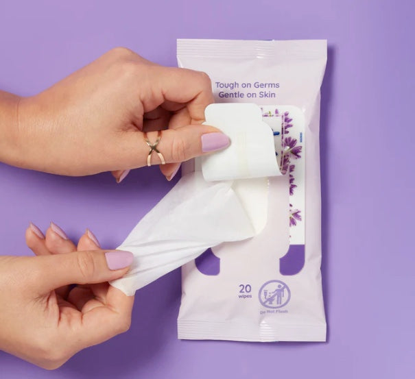 Wet Ones Antibacterial Hand Wipes